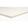 Pannello pioppo multistrato 10x800x600 mm legno chiaro