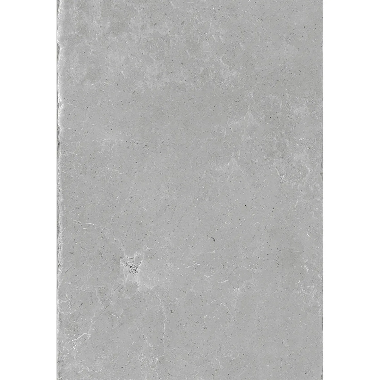 Pavimento in gres Bourgogne Antiquus Gris 40x60x2 cm
