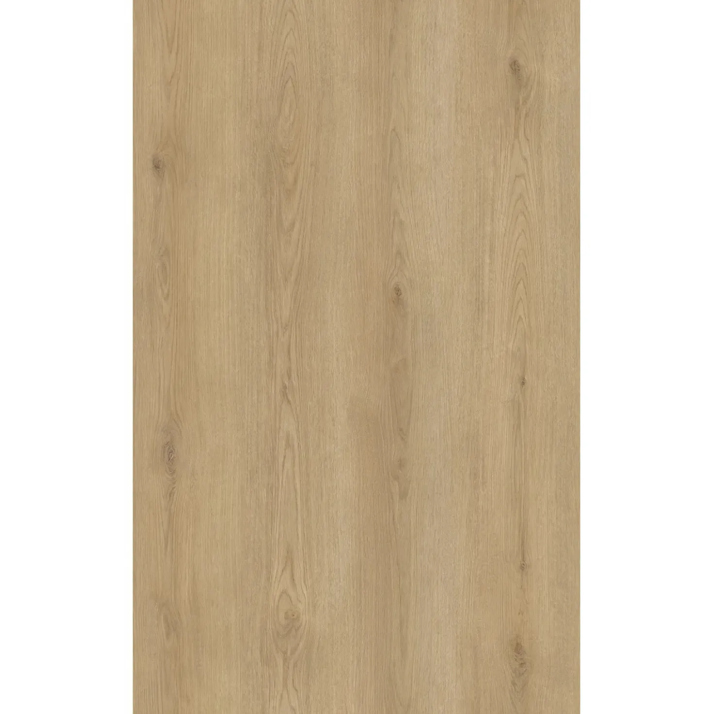 Pavimento SPC Rimini Robust Plus rovere sp 5,5 mm 122x18 cm