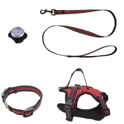 Pettorina flash per cane taglia media kit