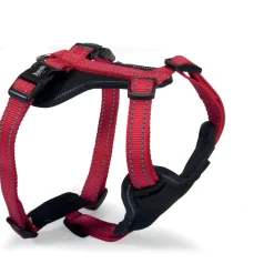 Pettorina neoprene regolabile reflex rossa Taglia 32/42 - 25/36