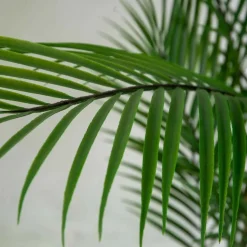 Pianta artificiale in plastica Kenzia h180 cm