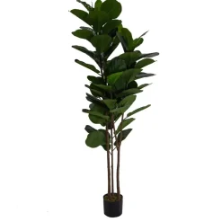 Pianta artificiale in plastica Ficus h180 cm