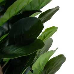 Pianta artificiale in plastica Ficus h180 cm