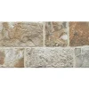 Piastrella da esterno in gres porcellanato Abbazie multicolore 25x50 cm 1,25 m²