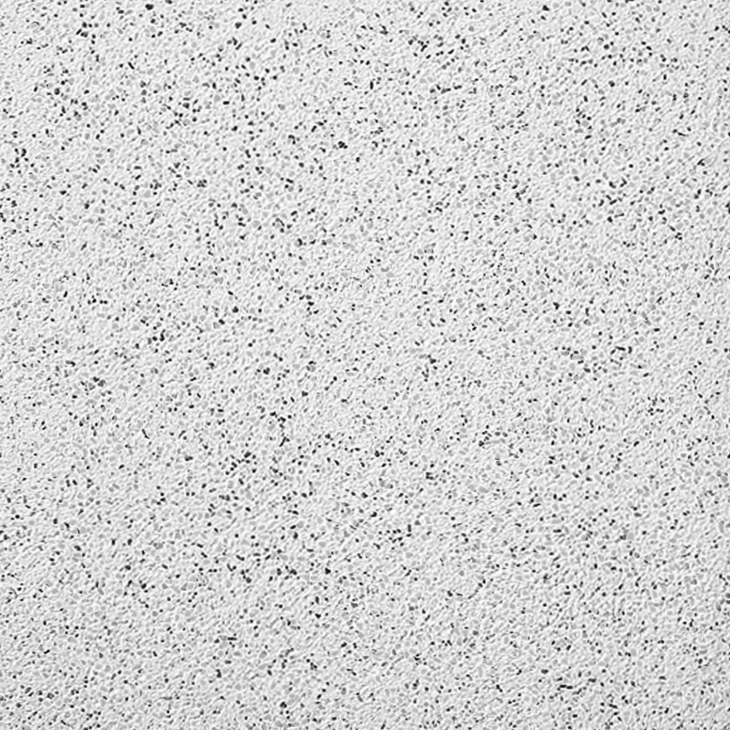 Piastrella da esterno in marmomicro bianco/nero 40x40 cm