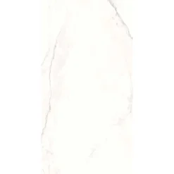 Piastrella in gres porcellanato Marmo Statuario 60x120 cm venato grigio 1,44 m²