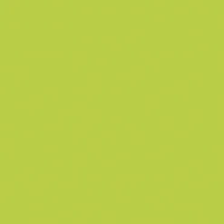 Pittura effetto lavagna 500 ml verde id
