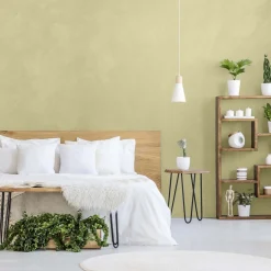 Pittura madreperlata e chick Verde anice 2 l