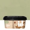 Pittura madreperlata e chick Pistacchio 2 l