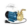 Pompa elettrica con manico M20 1800 l/h