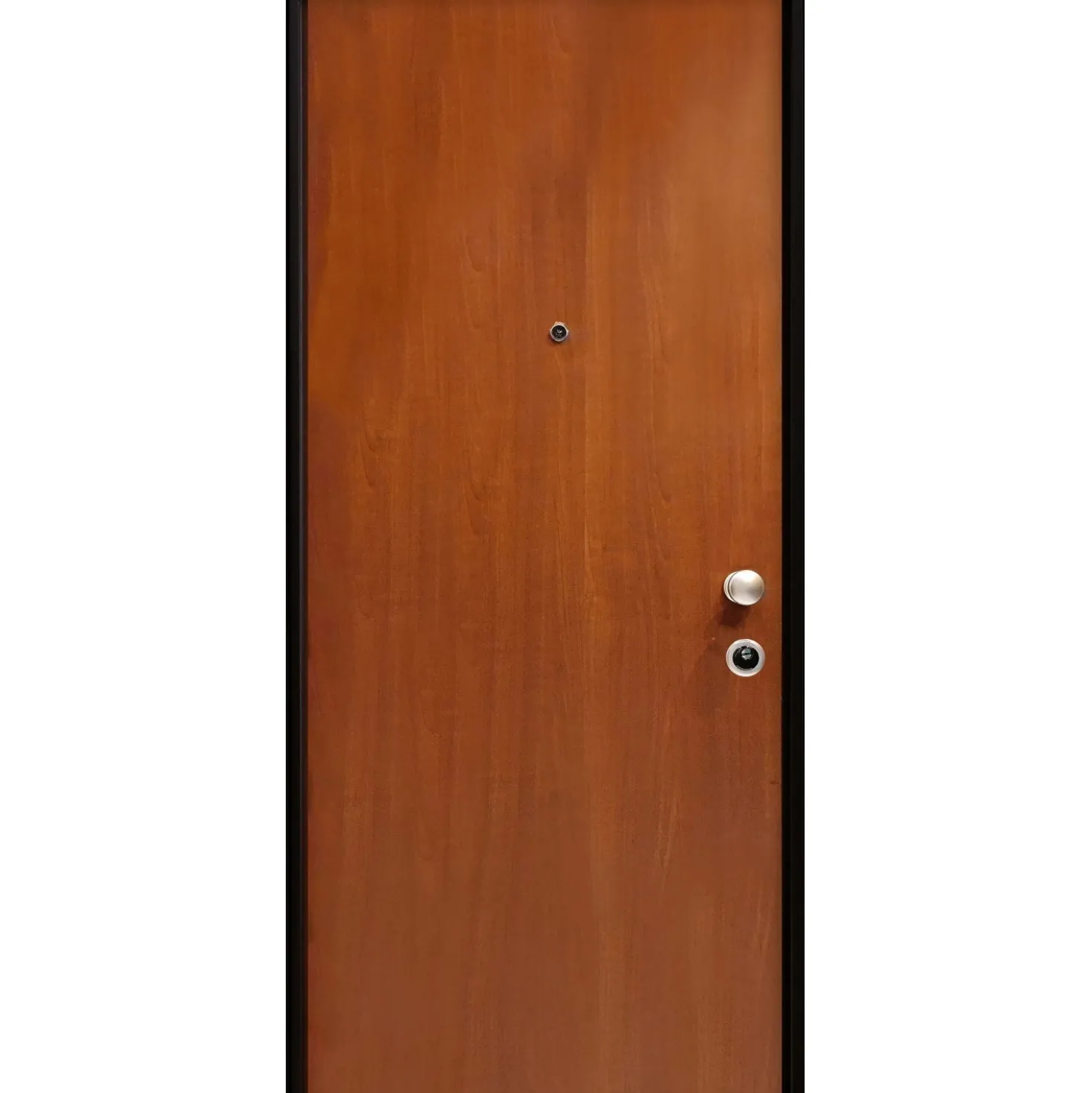 Porta blindata Bravo 90x200 cm tanganica apertura sx