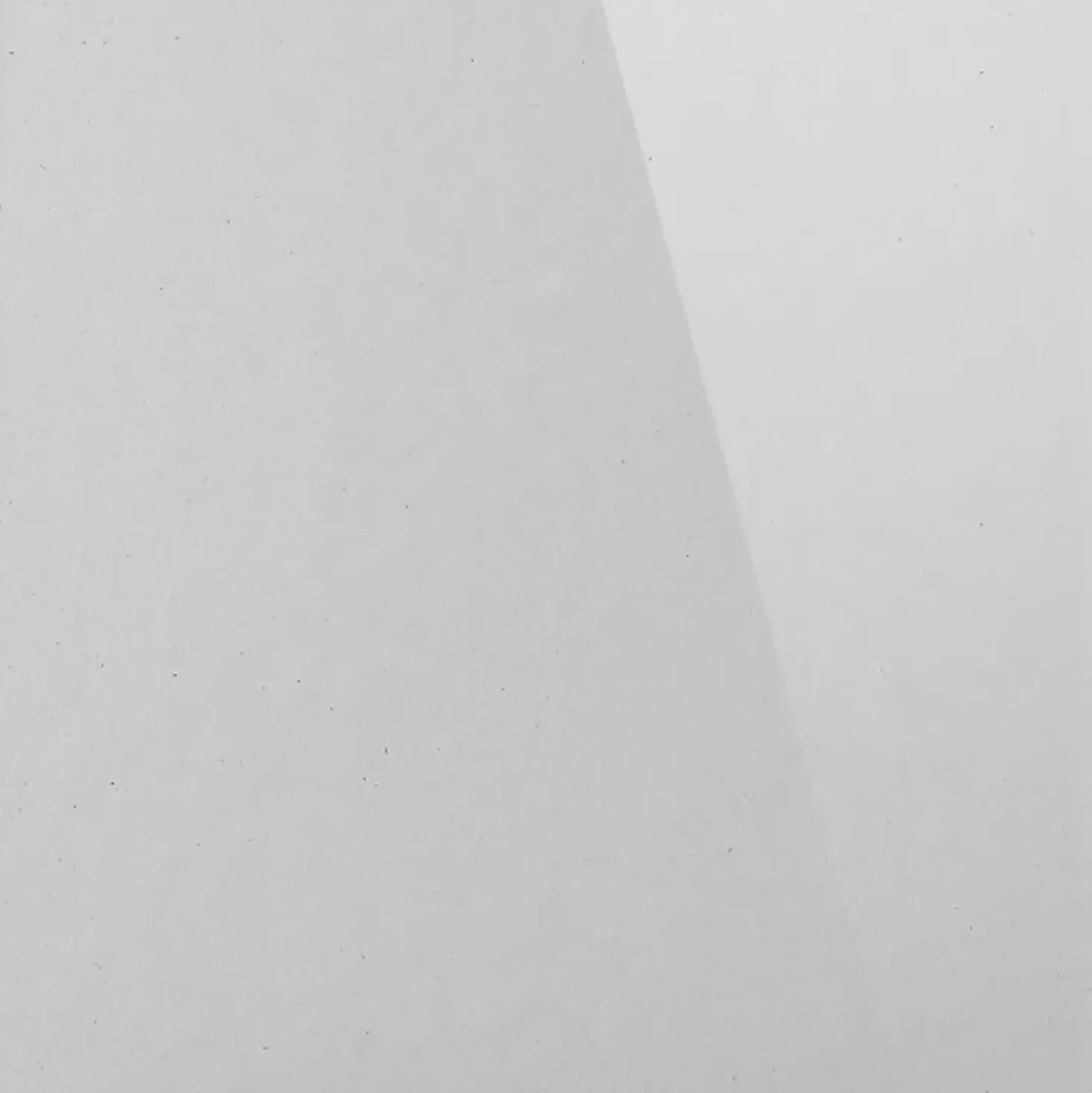 Porta doccia a soffietto Platz 65 cm H 190 cm bianco e sintetico