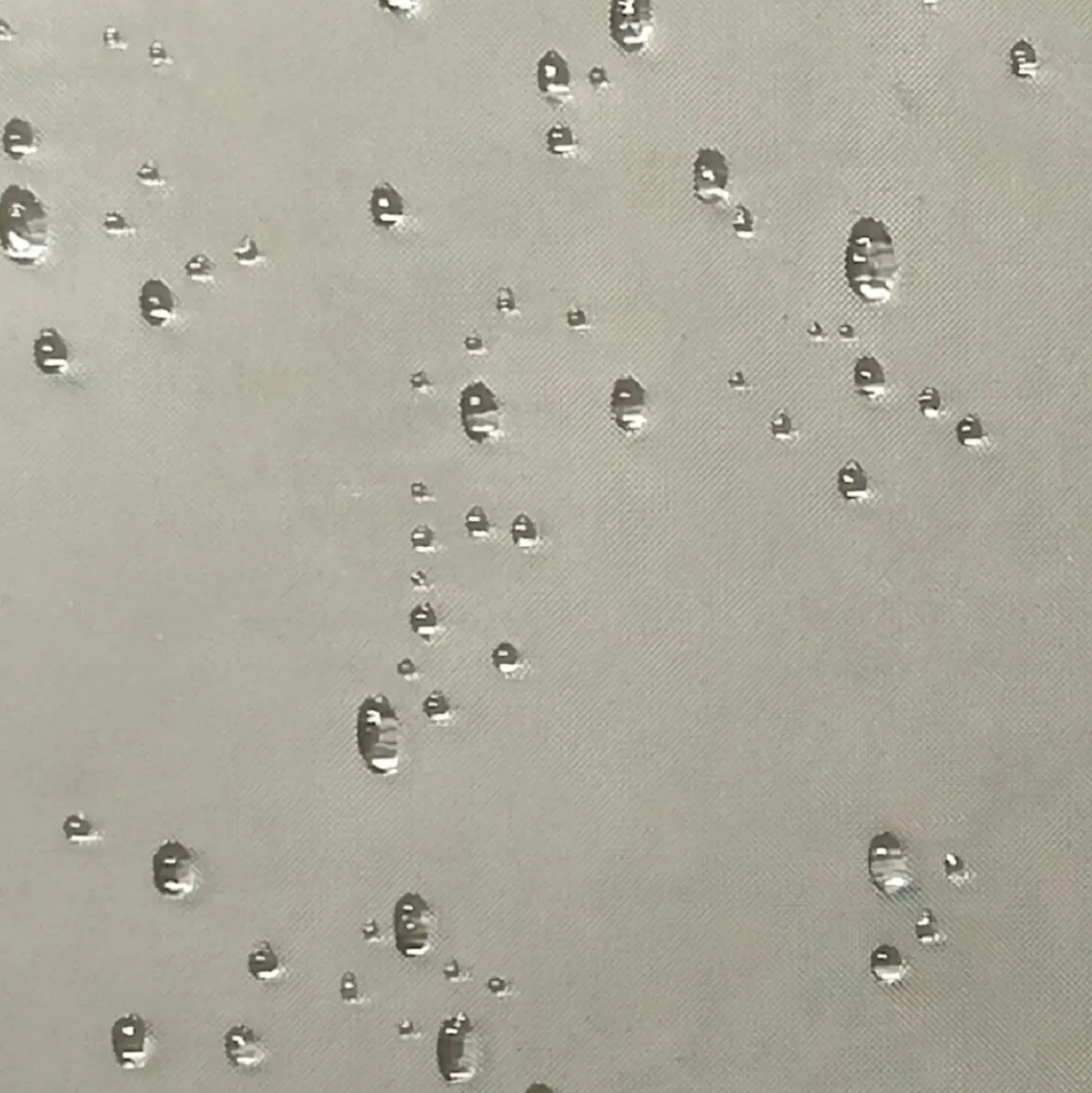 Porta doccia a soffietto Platz 100 cm H 190 cm argento e sintetico