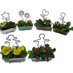 Portavaso Natura con soggetti misti
