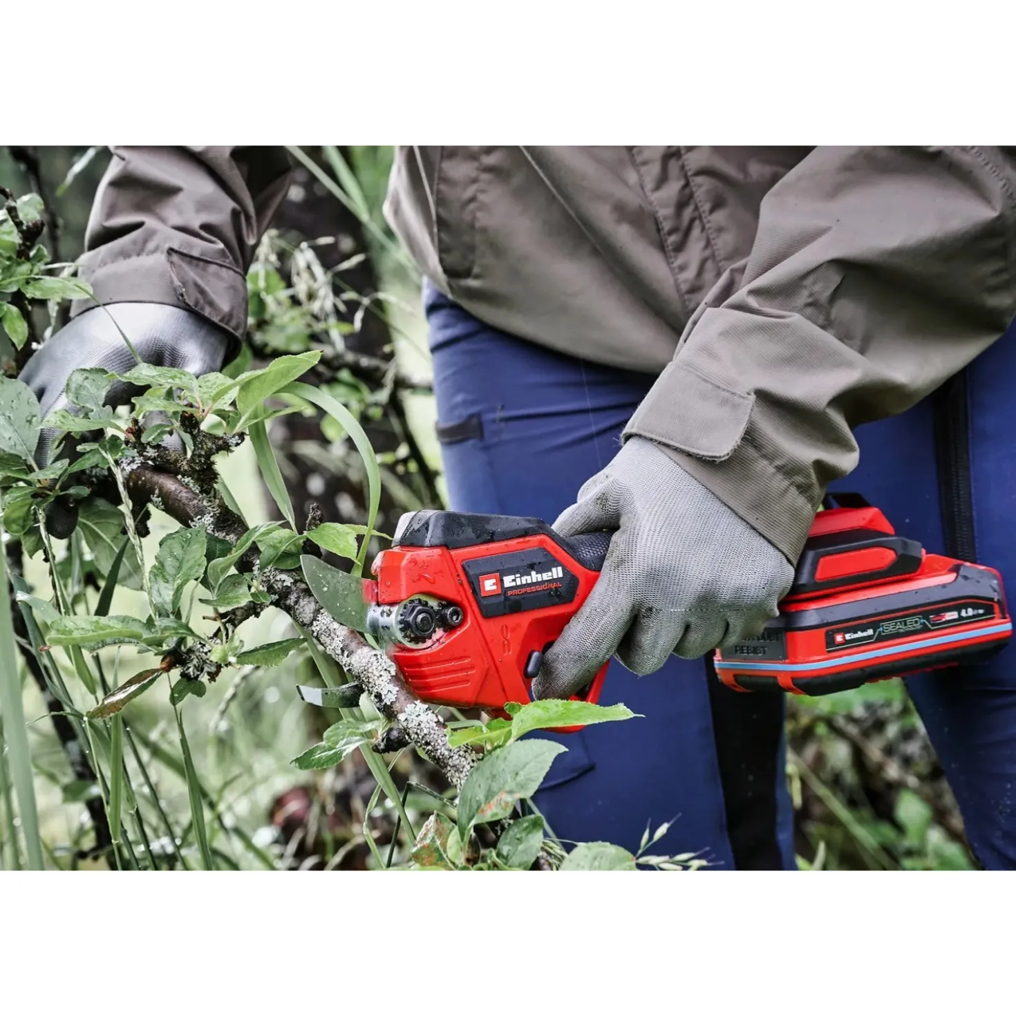 Potatore a batteria Einhell Professional GP-LS 18/28 Li BL-Solo