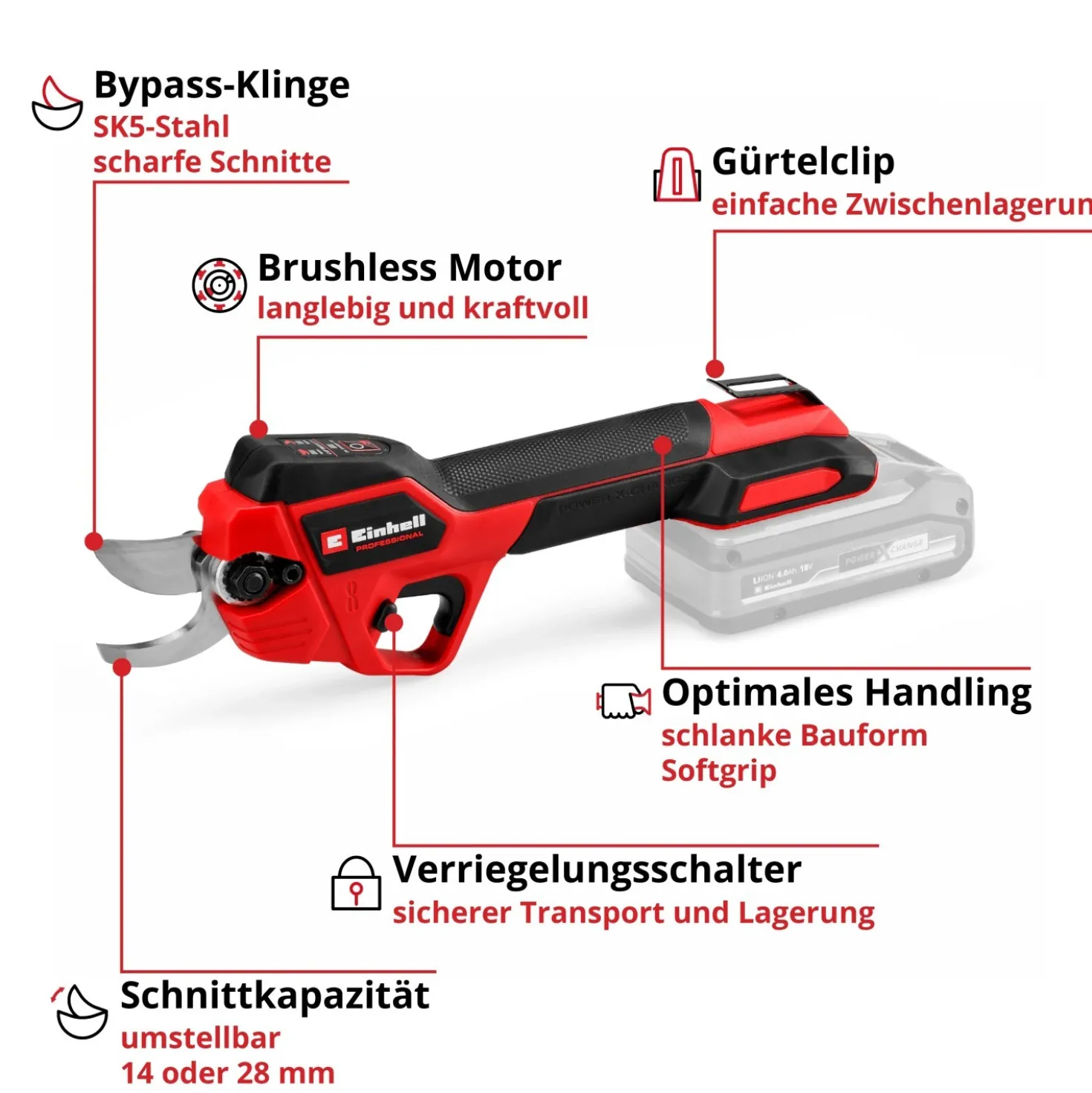Potatore a batteria Einhell Professional GP-LS 18/28 Li BL-Solo