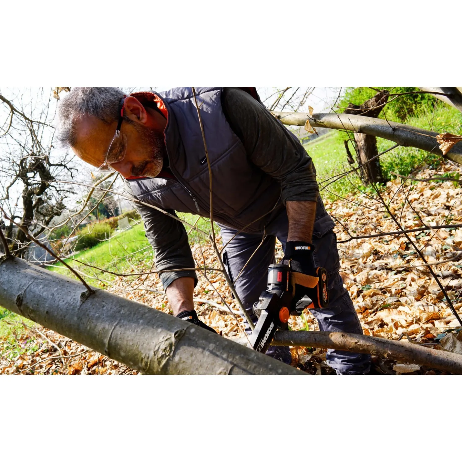 Potatore a batteria Worx WG325 20 V