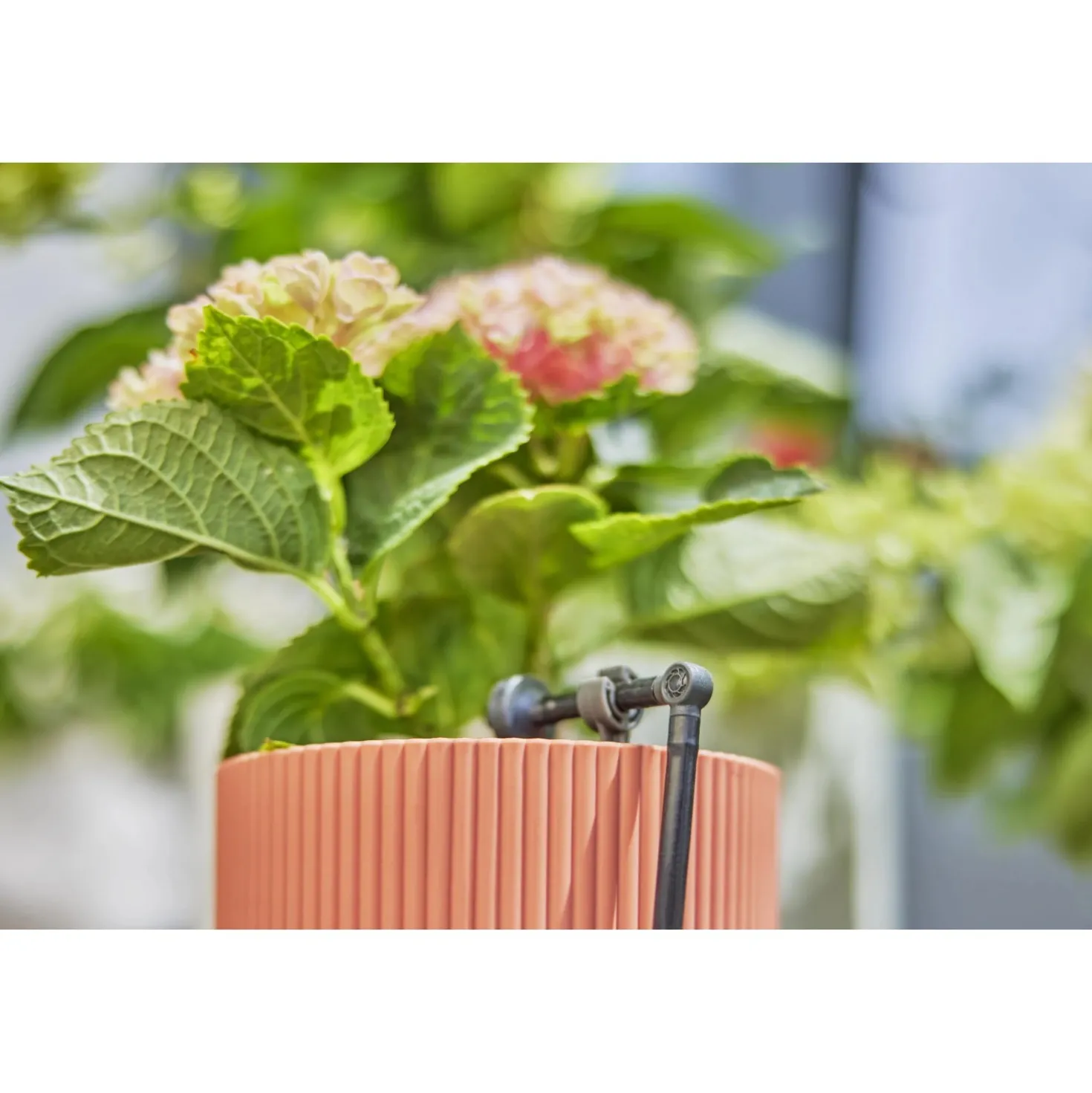 Raccordo a L Gardena per tubi Micro-Drip-System 4,6 mm (3/16")