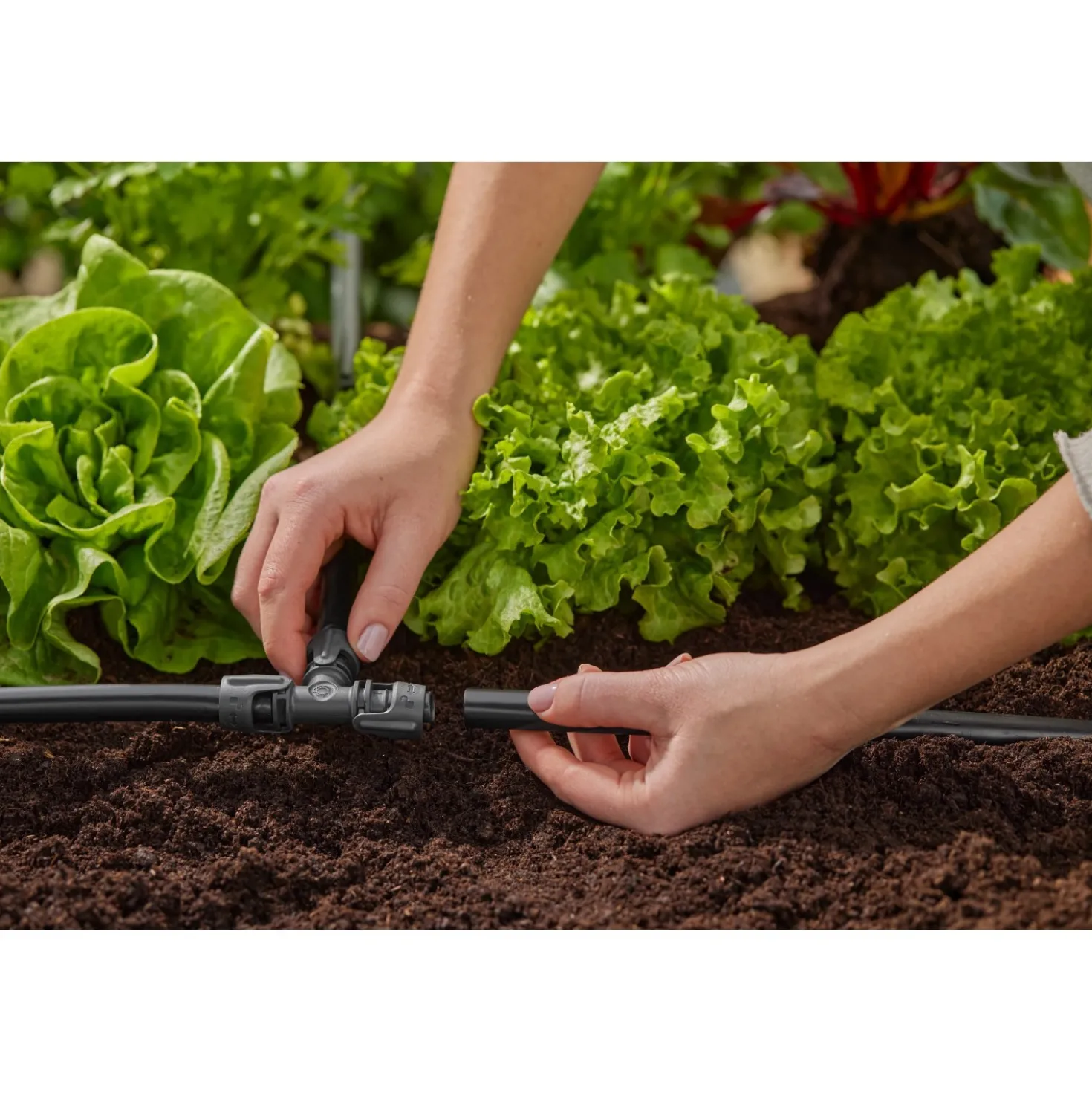 Raccordo a T Gardena 13 mm - (1/2") 5 pz