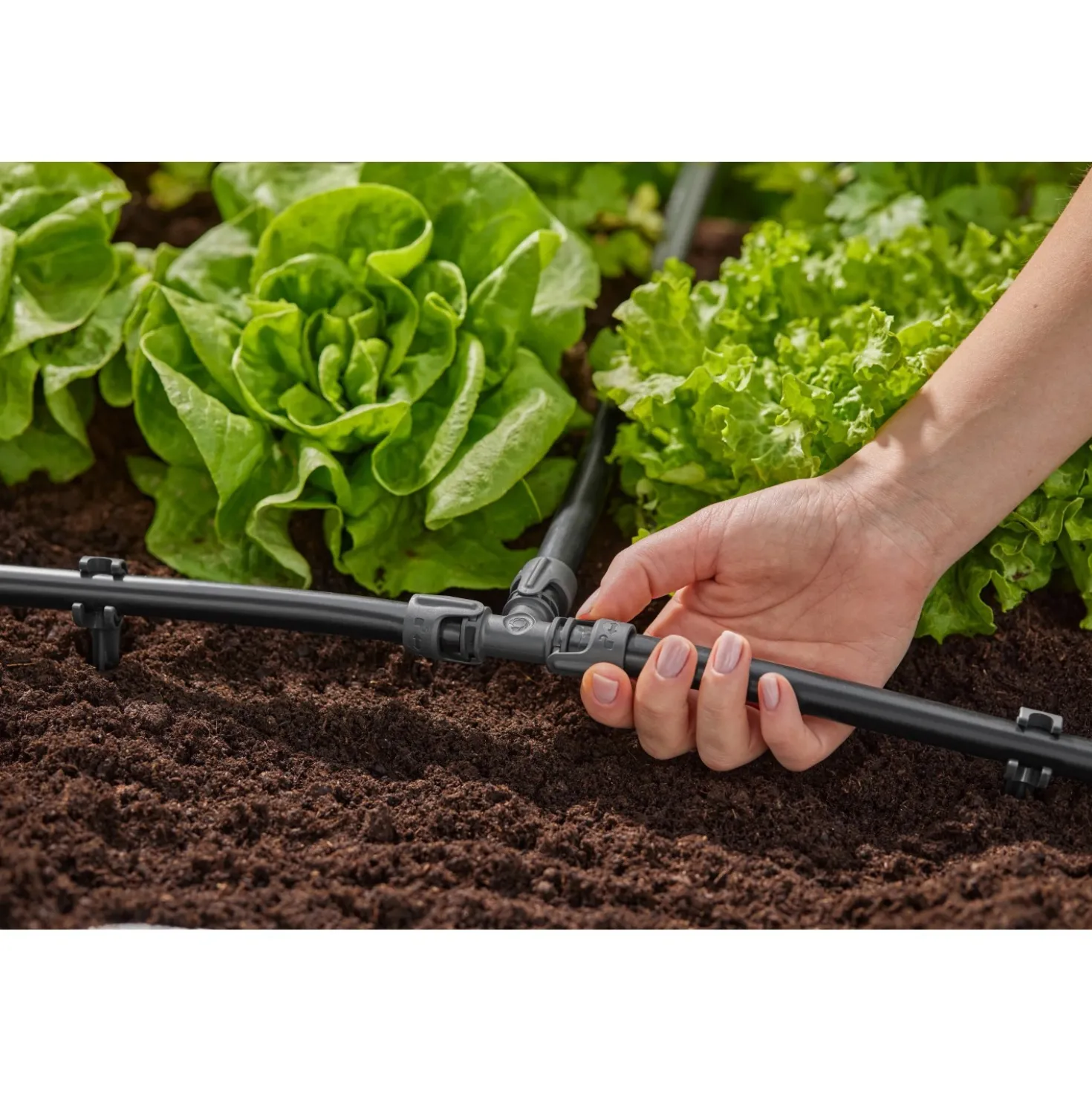 Raccordo a T Gardena 13 mm - (1/2") 5 pz