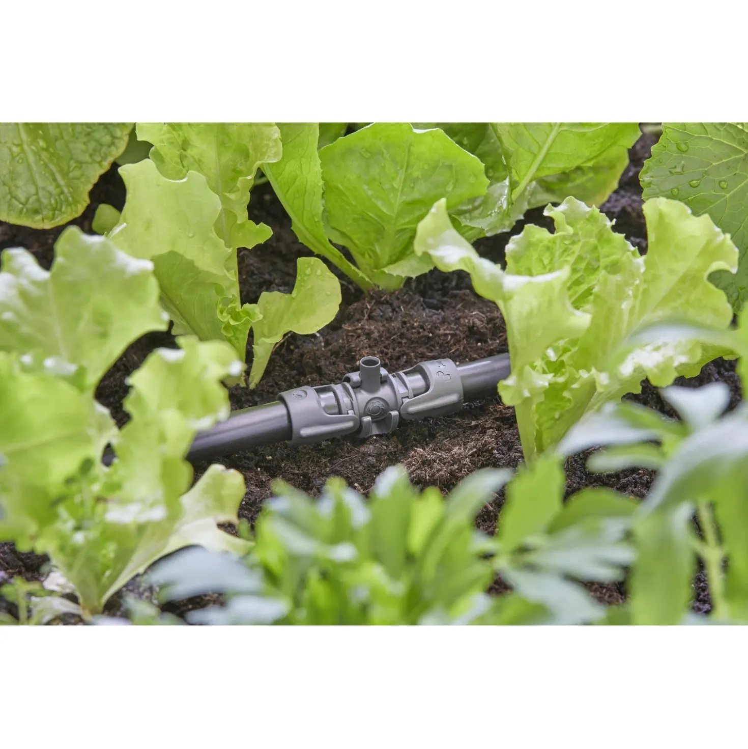 Raccordo a T Gardena per microspruzzo per tubi Micro-Drip-System 13 mm (1/2")