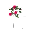 Ramo Camelia 26x10 cm