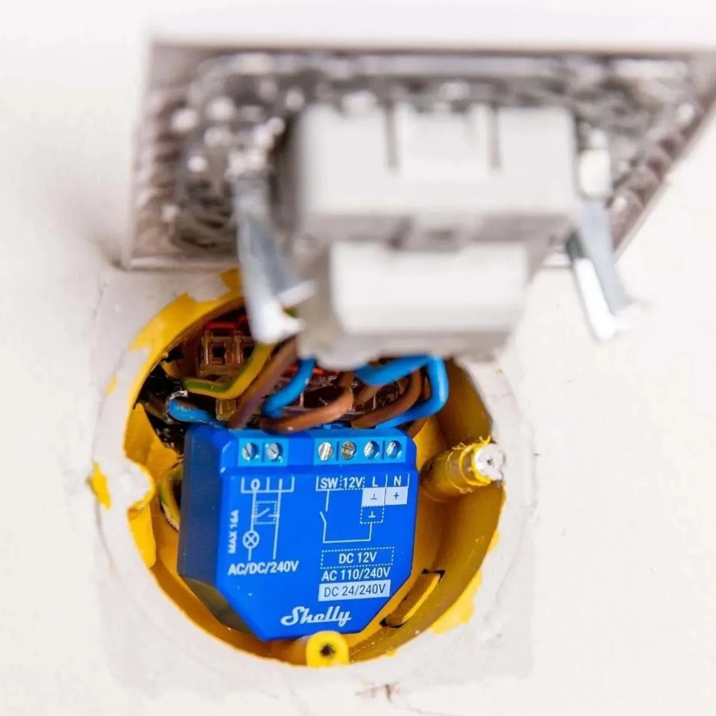 Relè Smart Home Wifi e bluetooth Shelly 1 PLUS duo pack per luci ed interruttori