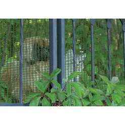 Rete di protezione in plastica HOBBY 1x5 m verde