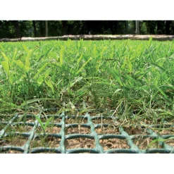 Rete salvaprato TR in polietilene 1x5 m verde