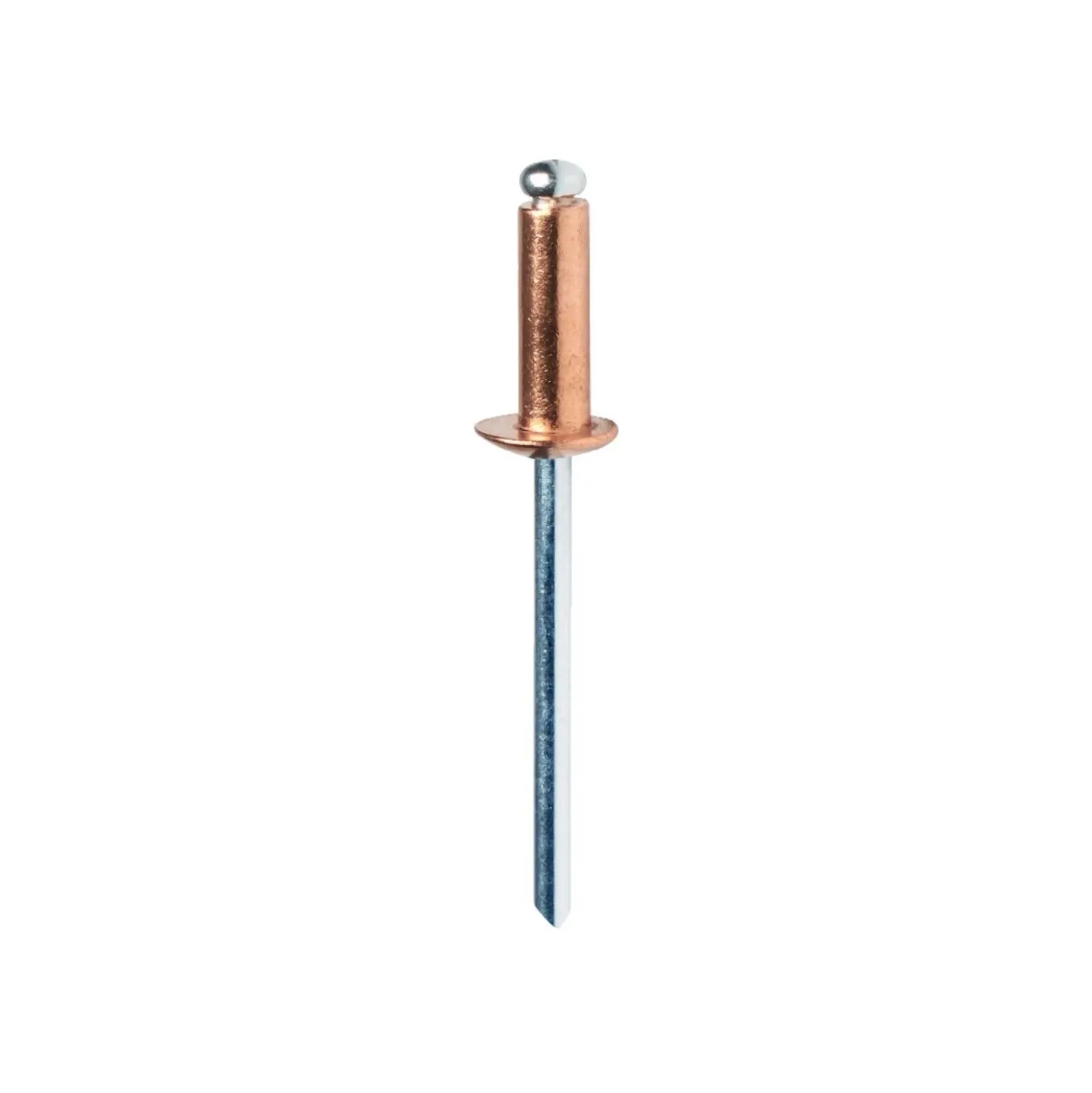Rivetti Rapid Ramati Ø4,8 x 12 mm Confezione da 50 Pezzi