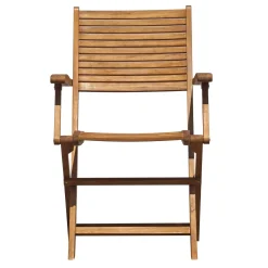 Sedia da giardino con braccioli pieghevole in legno