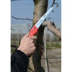 Segaccio serramanico Felco 600