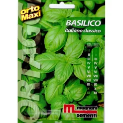 Semi aromi Basilico italiano classico