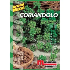 Semi aromi Coriandolo