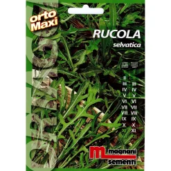 Semi aromi Rucola selvatica