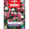 Semi Blumen Bellis perennis o Margherita pompon