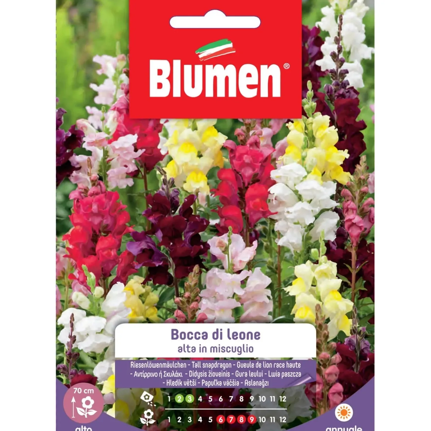 Semi Blumen Bocca di leone alta in miscuglio