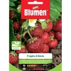 Semi Blumen Fragole di bosco