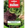 Semi Blumen Misticanza di cicorie grumolo rosso e verde