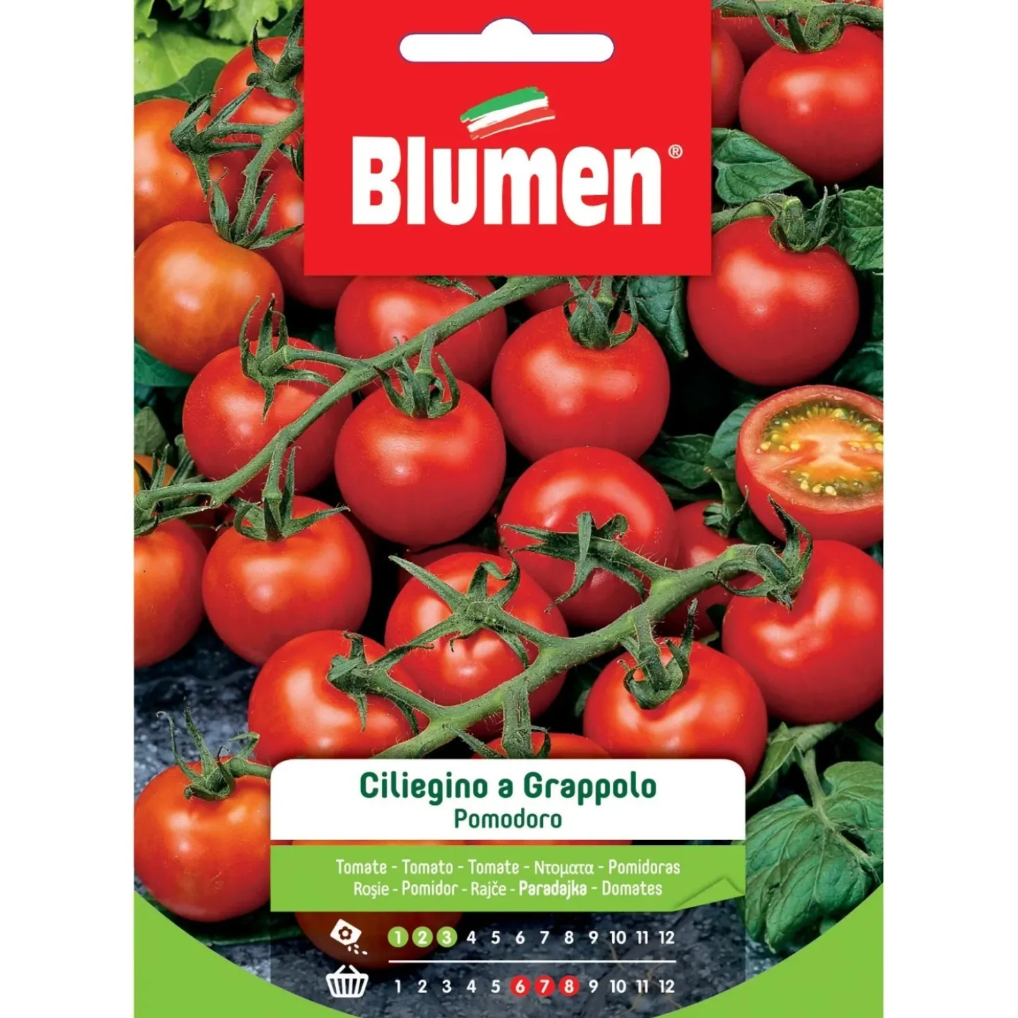 Semi Blumen Pomodoro ciliegino a grappolo