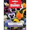 Semi Blumen viola del pensiero gigante in miscuglio