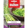 Semi Erba cipollina Blumen