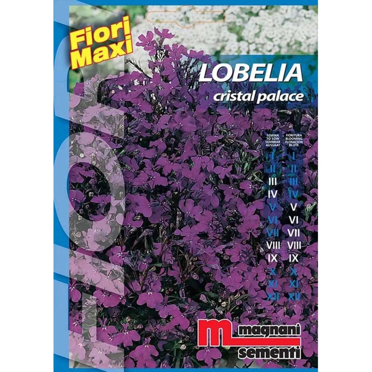 Semi fiori Lobelia cristal