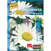 Semi fiori Margherita Mayqueen