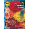 Semi fiori Zinnia fior di dalia