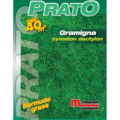 Semi prato Gramigna 500 g