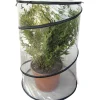 Serra da terrazzo pop-up Anthurium Ø 70 x h 110 cm