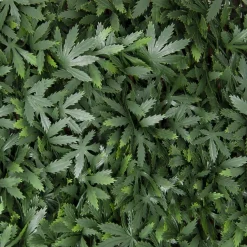 Siepe artificiale con foglie 3D Acer Palmatum H 1 m x L 2 m verde
