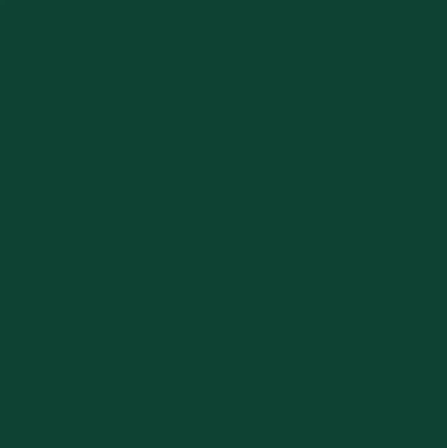Smalto ad acqua brillante 2in1 OBI verde muschio 750 ml